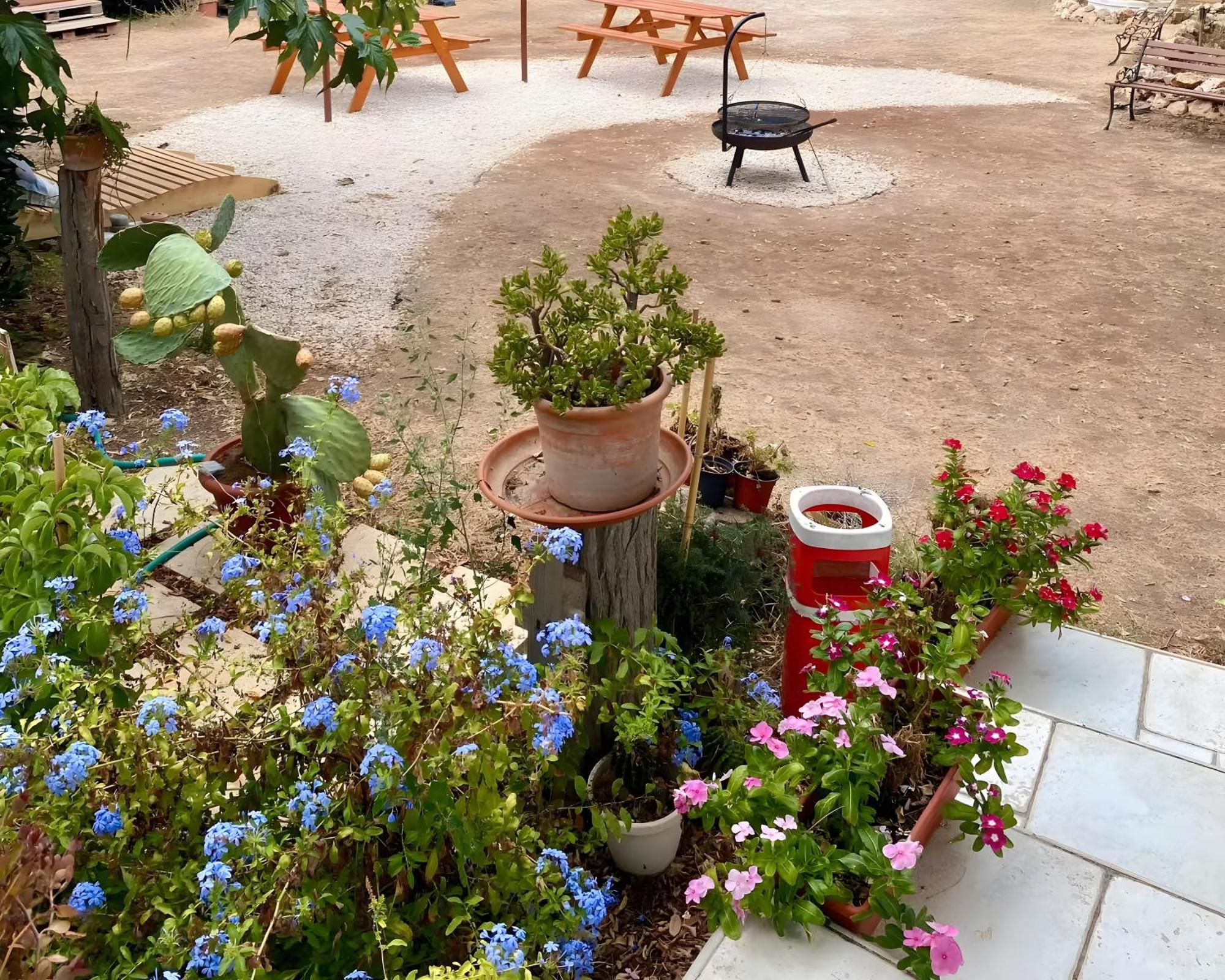 Chill Garden Experience B&B San Pietro in Bevagna Exterior foto